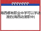 海西哪有职业中学可以学动漫的(海西动漫职中)