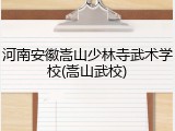 河南安徽嵩山少林寺武术学校(嵩山武校)