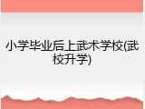 小学毕业后上武术学校(武校升学)