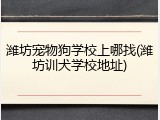 潍坊宠物狗学校上哪找(潍坊训犬学校地址)