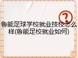 鲁能足球学校就业技校怎么样(鲁能足校就业如何)
