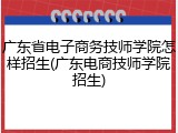 广东省电子商务技师学院怎样招生(广东电商技师学院招生)