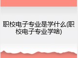 职校电子专业是学什么(职校电子专业学啥)