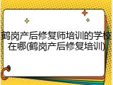 鹤岗产后修复师培训的学校在哪(鹤岗产后修复培训)
