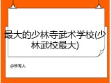 最大的少林寺武术学校(少林武校最大)