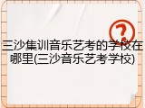 三沙集训音乐艺考的学校在哪里(三沙音乐艺考学校)