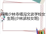 河南少林寺塔沟文武学校女生班(少林武校女班)