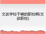 文武学校干嘛的职校啊(文武职校)