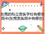 东莞的私立贵族学校有哪些高中(东莞贵族高中有哪些)