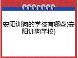 安阳训狗的学校有哪些(安阳训狗学校)