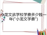 小龙文武学校学费多少钱一年("小龙文学费")