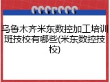 乌鲁木齐米东数控加工培训班技校有哪些(米东数控技校)