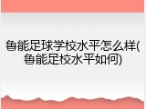 鲁能足球学校水平怎么样(鲁能足校水平如何)