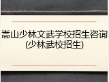 嵩山少林文武学校招生咨询(少林武校招生)