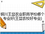 铜川王益农业职高学校哪个专业好(王益农校好专业)