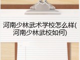 河南少林武术学校怎么样(河南少林武校如何)