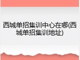 西城单招集训中心在哪(西城单招集训地址)