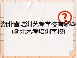湖北省培训艺考学校有哪些(湖北艺考培训学校)