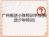 广州叛逆小孩特训学校(叛逆少年特训)