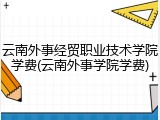 云南外事经贸职业技术学院学费(云南外事学院学费)