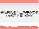 要是真的考不上高中该怎么办(考不上高中咋办)