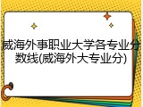 威海外事职业大学各专业分数线(威海外大专业分)