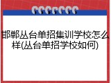 邯郸丛台单招集训学校怎么样(丛台单招学校如何)