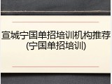 宣城宁国单招培训机构推荐(宁国单招培训)
