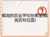 鹤岗的农业学校在哪里(鹤岗农校位置)