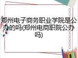 郑州电子商务职业学院是公办的吗(郑州电商职院公办吗)