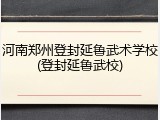 河南郑州登封延鲁武术学校(登封延鲁武校)