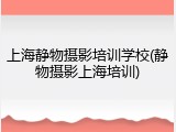 上海静物摄影培训学校(静物摄影上海培训)