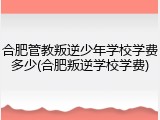 合肥管教叛逆少年学校学费多少(合肥叛逆学校学费)