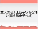 重庆微电子工业学校现在地址(重庆微电子校址)