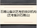 石嘴山集训艺考的培训机构(艺考集训石嘴山)