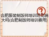 合肥服装制版师培训班花销大吗(合肥制版师培训费用)