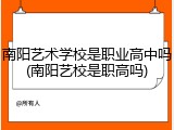 南阳艺术学校是职业高中吗(南阳艺校是职高吗)