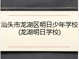 汕头市龙湖区明日少年学校(龙湖明日学校)