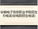 安徽电子信息职业学院招生办电话(安电院招生电话)
