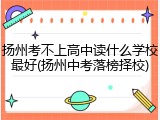 扬州考不上高中读什么学校最好(扬州中考落榜择校)