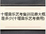 十堰音乐艺考集训花费大概是多少(十堰音乐艺考费用)