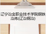 辽宁冶金职业技术学院钢铁冶炼(辽冶钢冶)