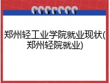 郑州轻工业学院就业现状(郑州轻院就业)