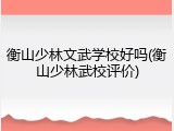 衡山少林文武学校好吗(衡山少林武校评价)