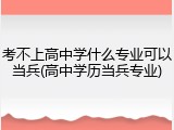 考不上高中学什么专业可以当兵(高中学历当兵专业)