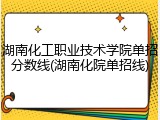 湖南化工职业技术学院单招分数线(湖南化院单招线)