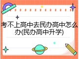 考不上高中去民办高中怎么办(民办高中升学)
