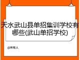 天水武山县单招集训学校有哪些(武山单招学校)