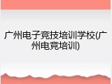 广州电子竞技培训学校(广州电竞培训)