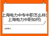 上海电力中专中职怎么样(上海电力中职如何)